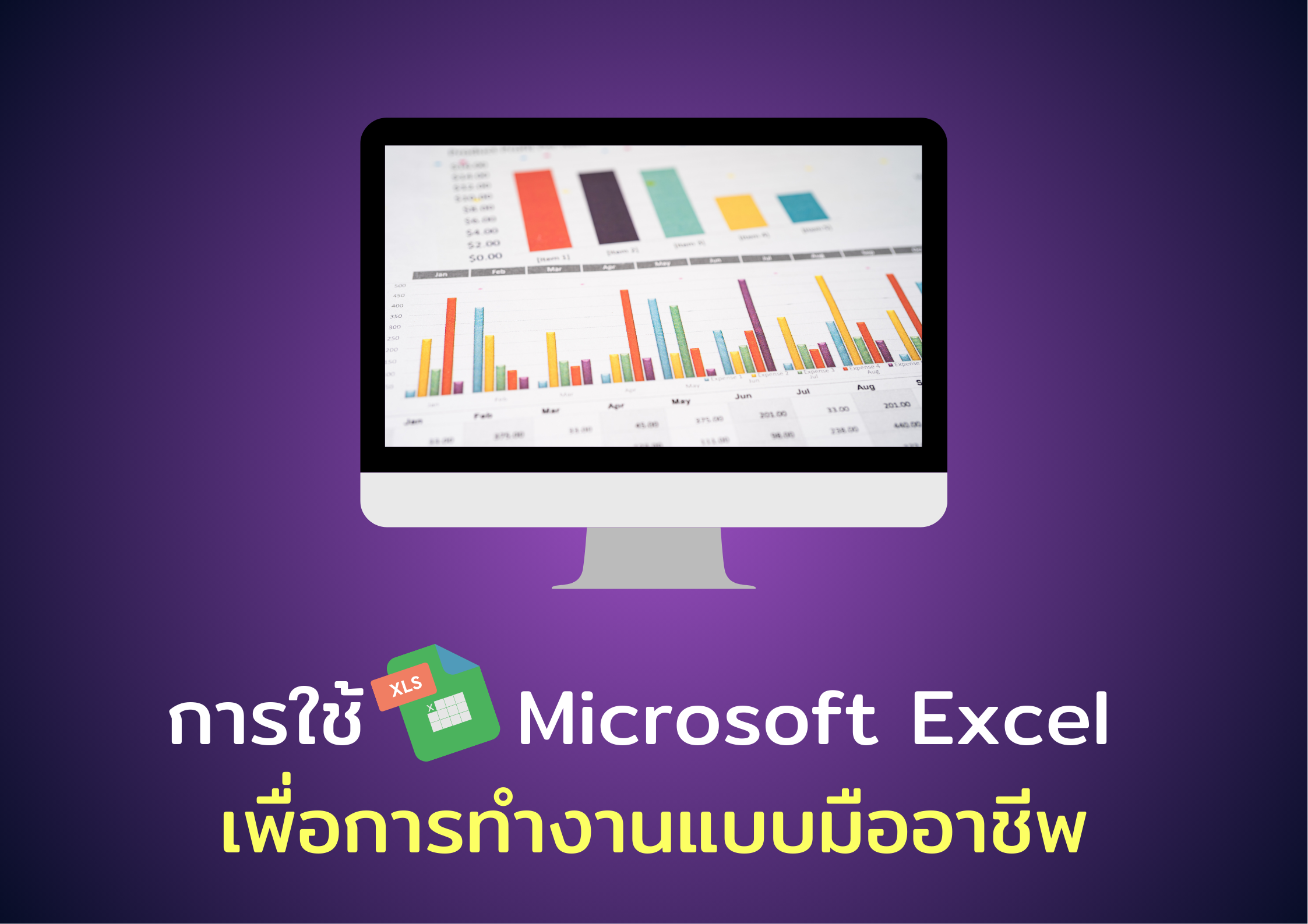 การใช้ Microsoft Excel เพื่อการทำงานแบบมืออาชีพ